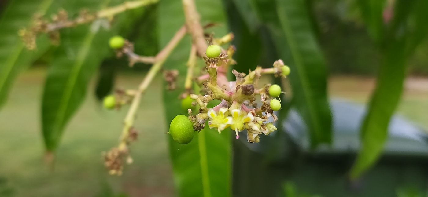 麻花影视_麻花影视_最新上映快讯：六公主观察